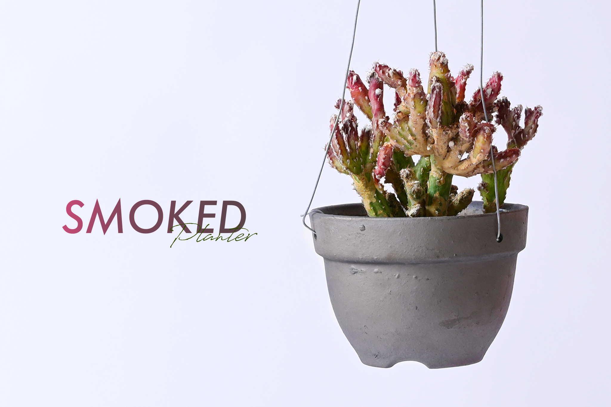 New arrival SMOKED PLANTER