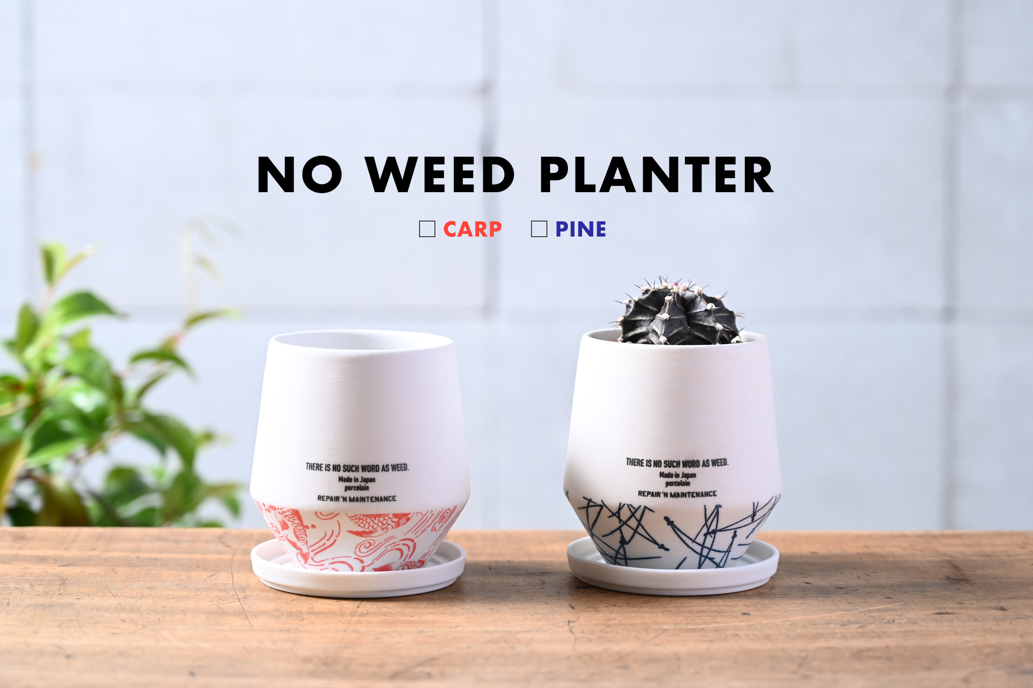 NOWEED PLANTER