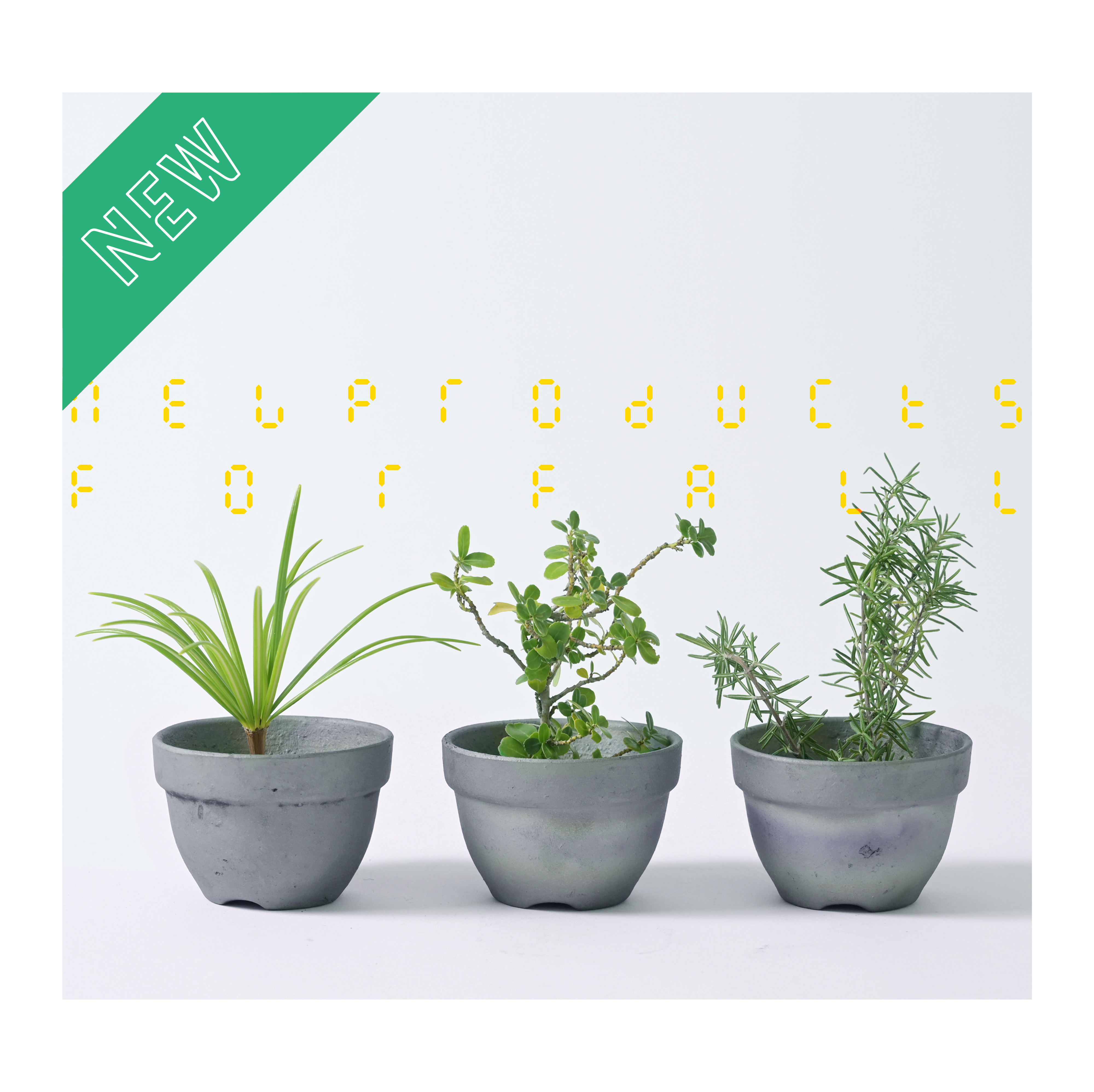 NEW FALL PRODUCTS FOR FALL