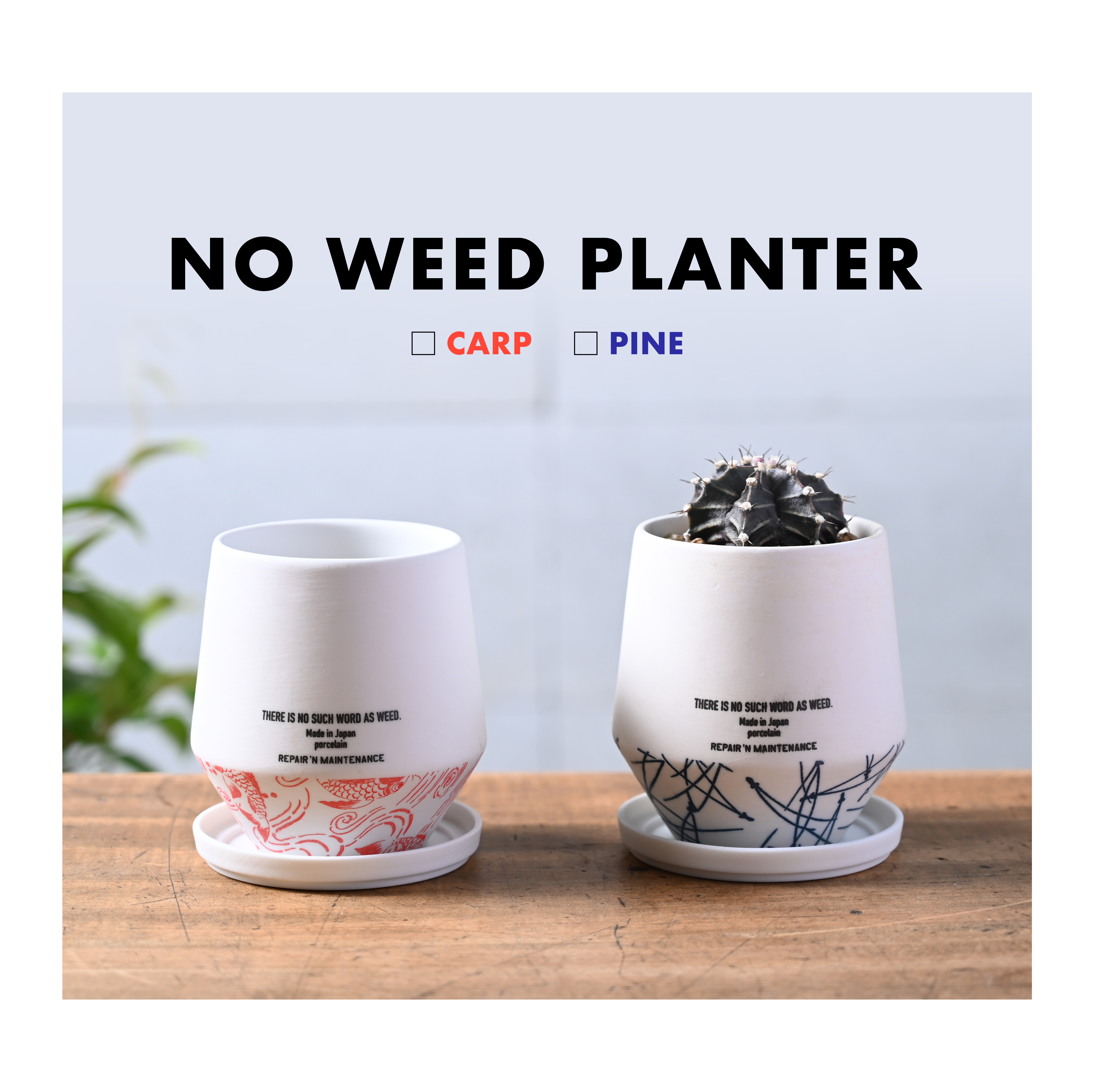 NOWEED PLANTER
