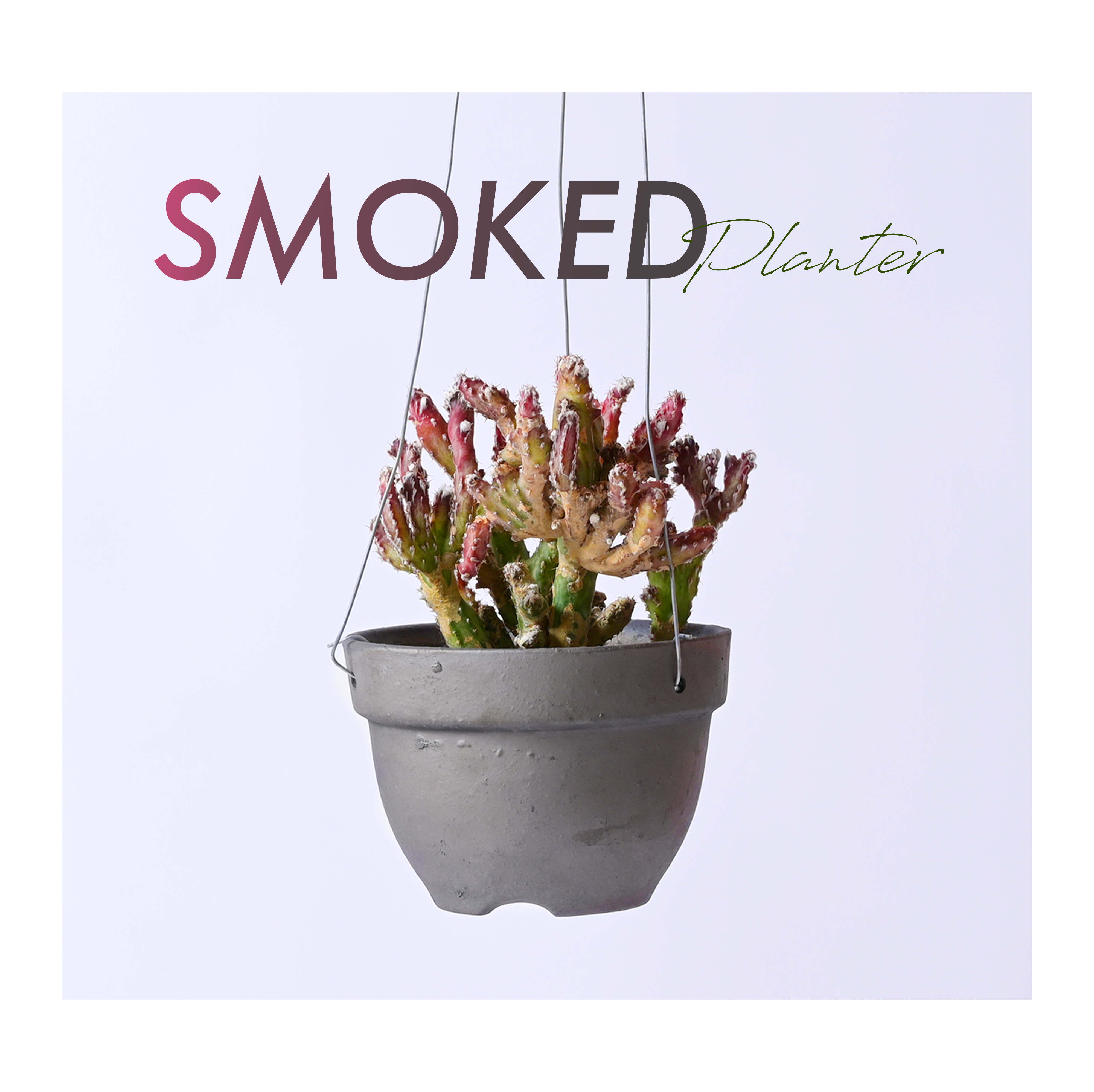 New arrival SMOKED PLANTER