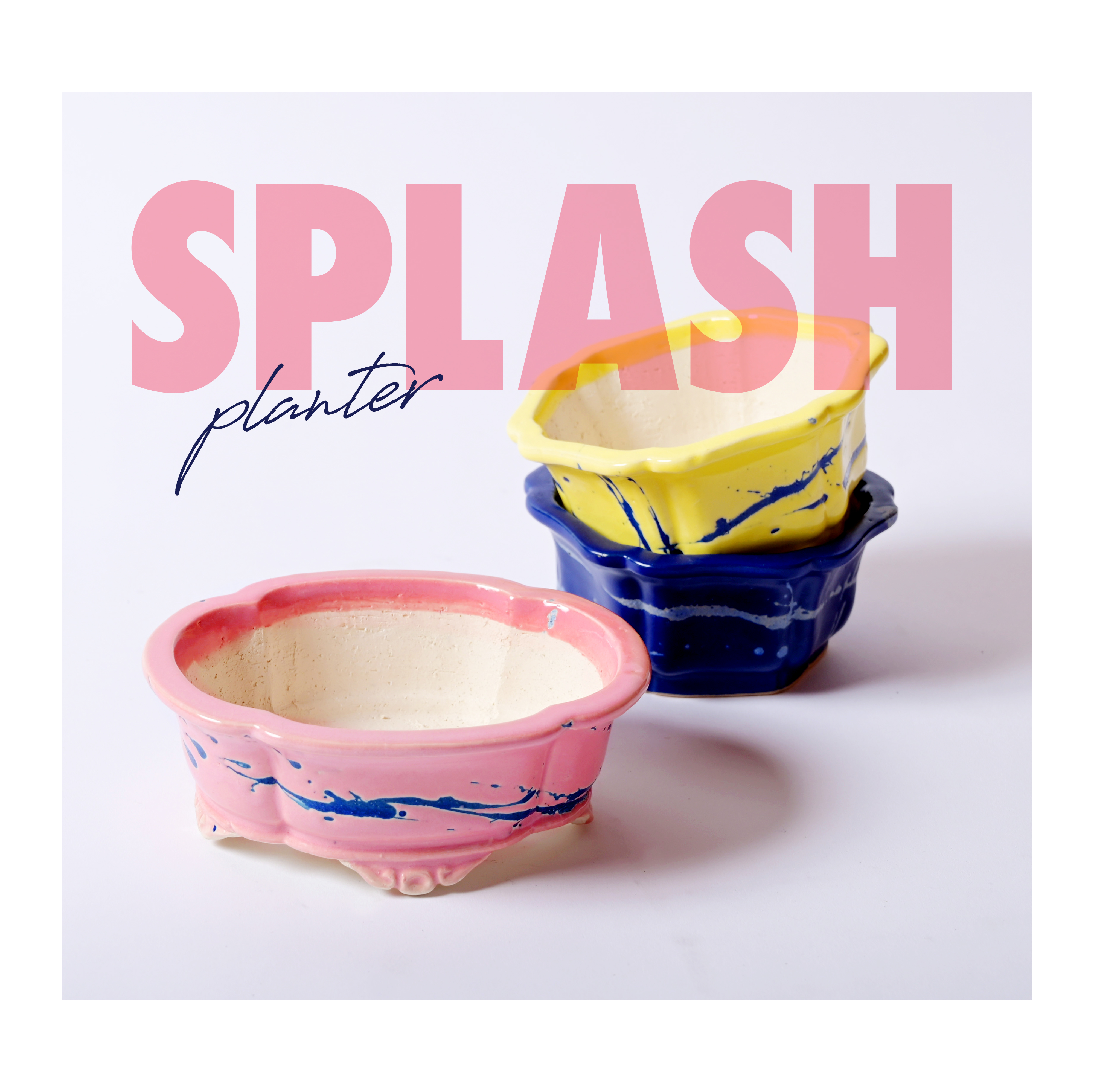 SPLASH PLANTER