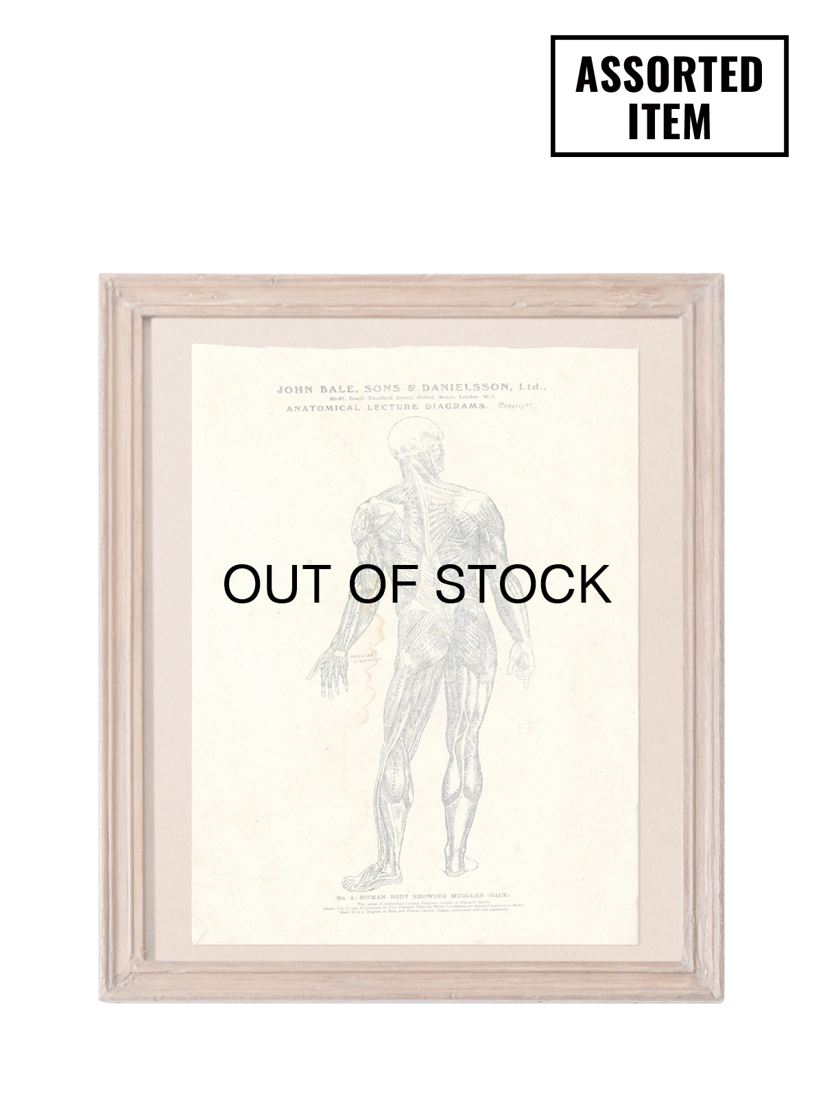 ＊52023 VINTAGE-FRAME