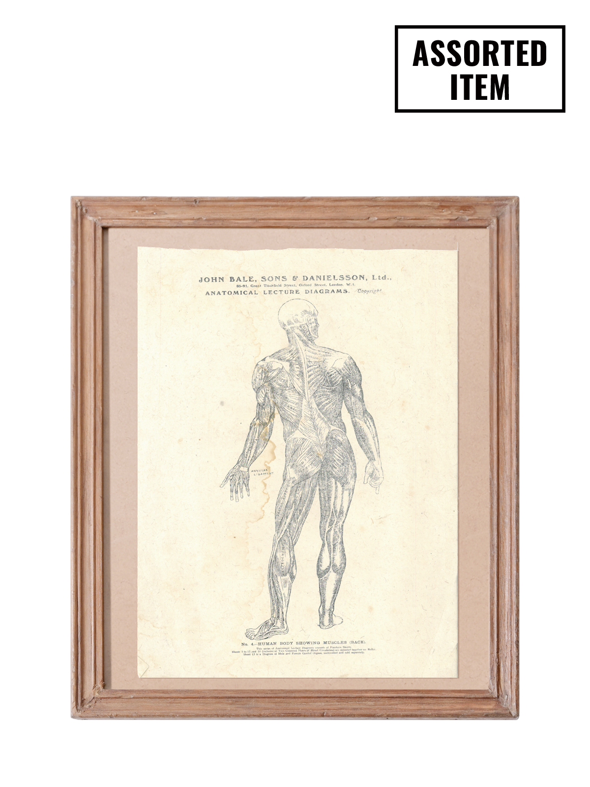 ＊52023 VINTAGE-FRAME