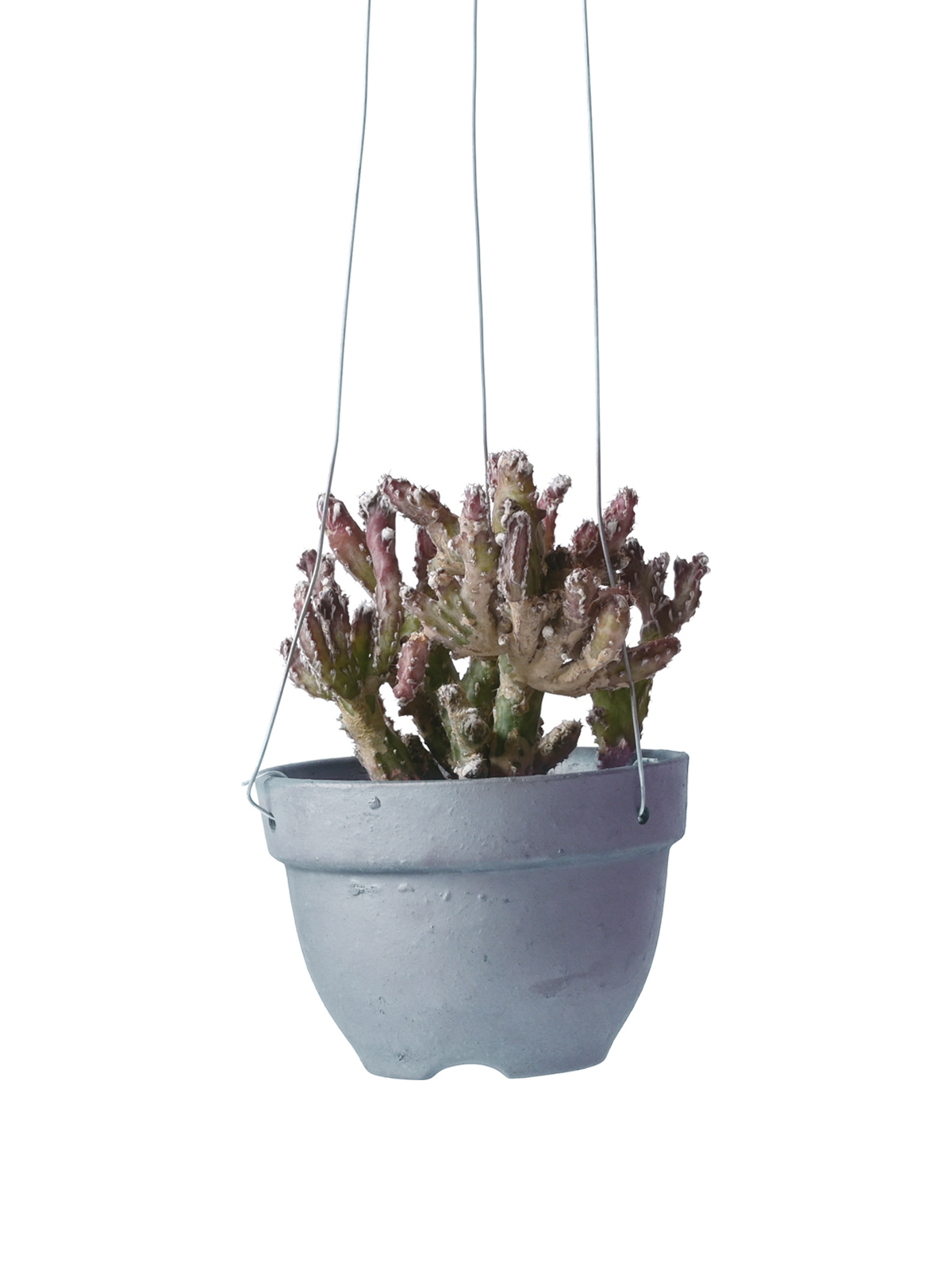 ＊64977 SMOKED PLANTER C-130 HANGING ＋WIRE HANGING(64809)